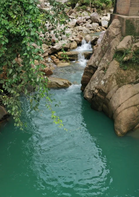 Home Photo Gallery 01