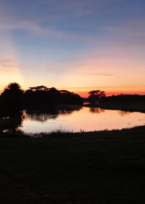 Home Photo Gallery 03