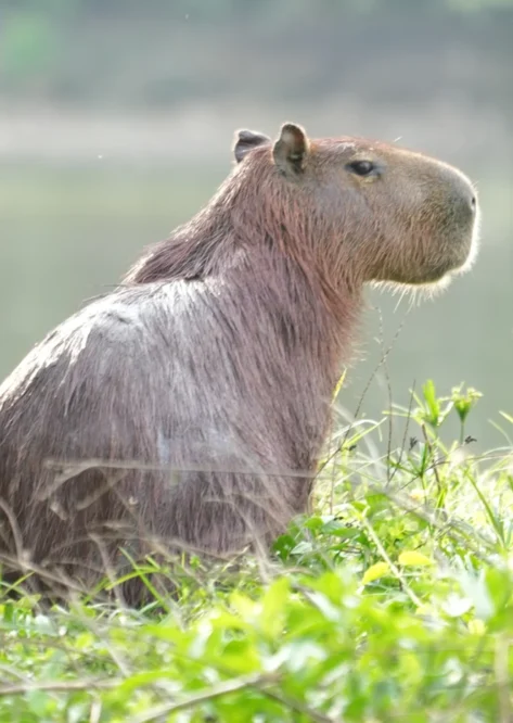 Home Photo Gallery 04