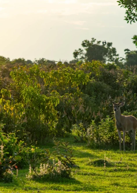 Home Photo Gallery 05