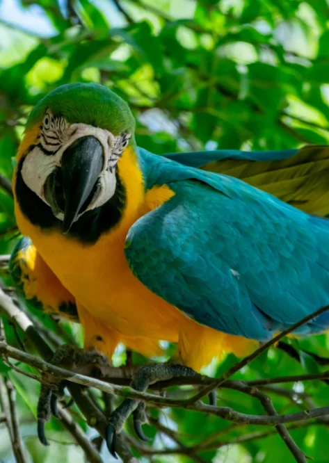 Home Photo Gallery 06