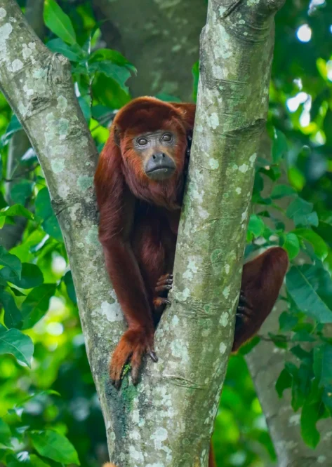 Home Photo Gallery 08